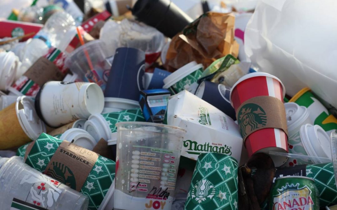 Zero-Waste Movement History, Definition