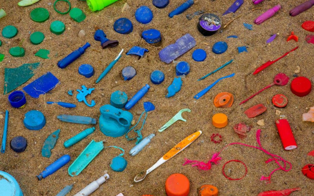 Types of Plastic You Can Recycle & Plastics You Cannot