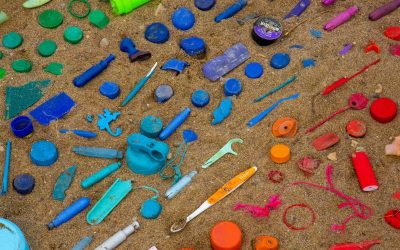 Types of Plastic You Can Recycle & Plastics You Cannot