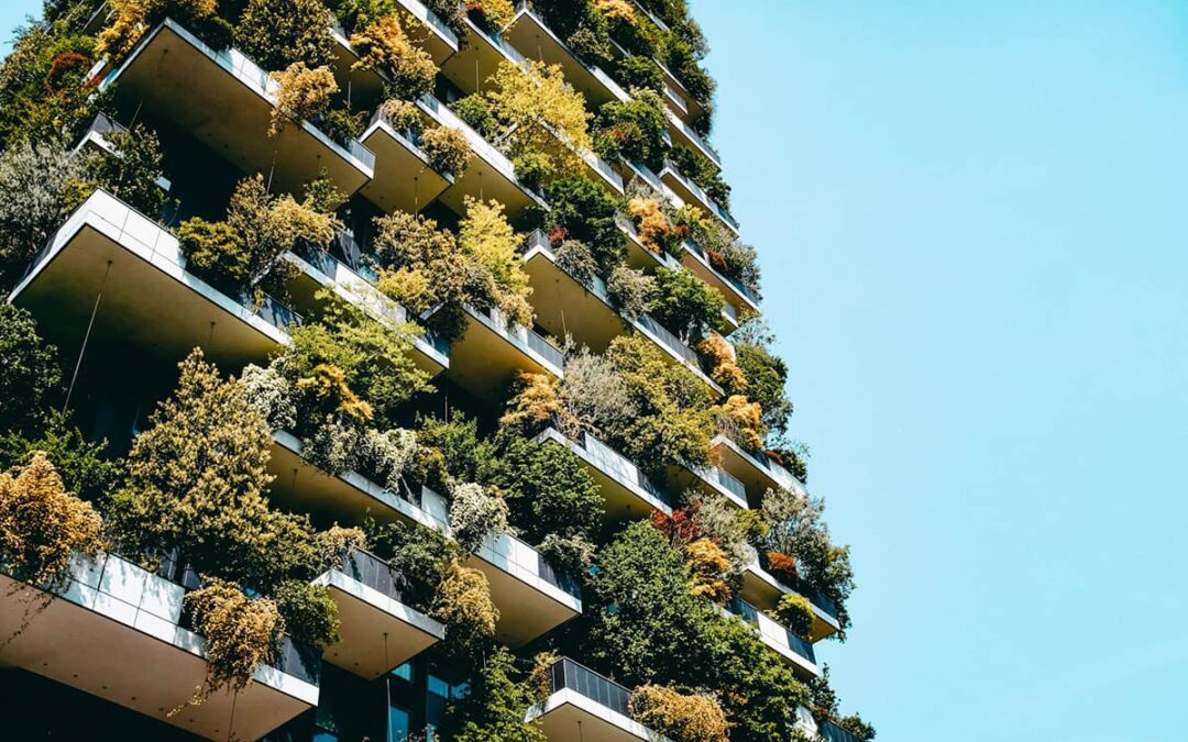 Sustainable office building covered in plants