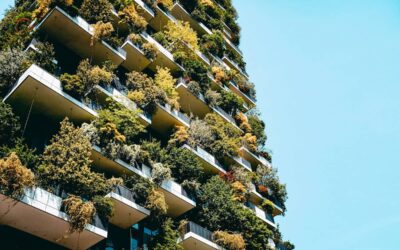 Zero Waste Business