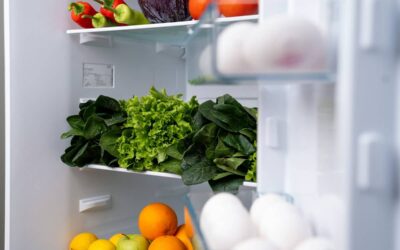 Zero-Waste Fridge Home Organization