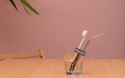 How to Become & Live No-trash? Zero-Waste for Beginners